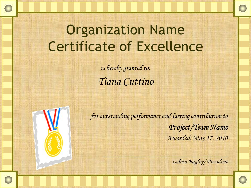 organization name certificate of excellence is hereby granted to certificate of outstanding performance