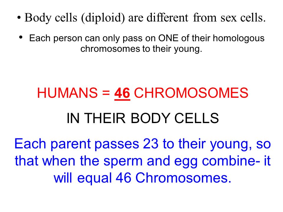Section 10.2 Summary – pages Body cells (diploid) are different from sex cells.