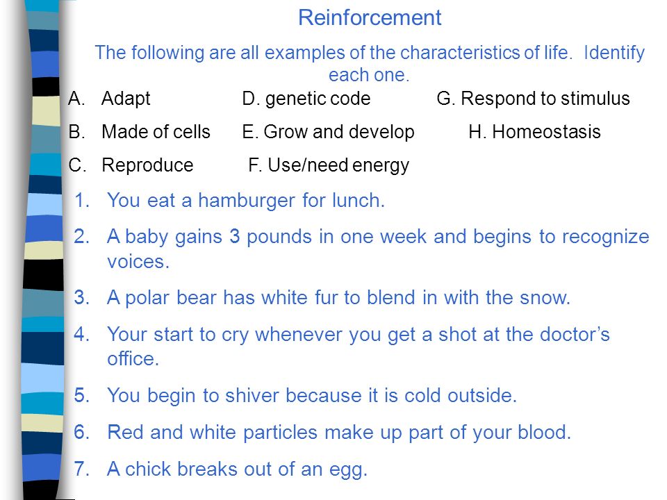 Reinforcement The Following Are All Examples Of The Characteristics Of Life Reinforcement The Following Are All Examples Of The Characteristics Of Life