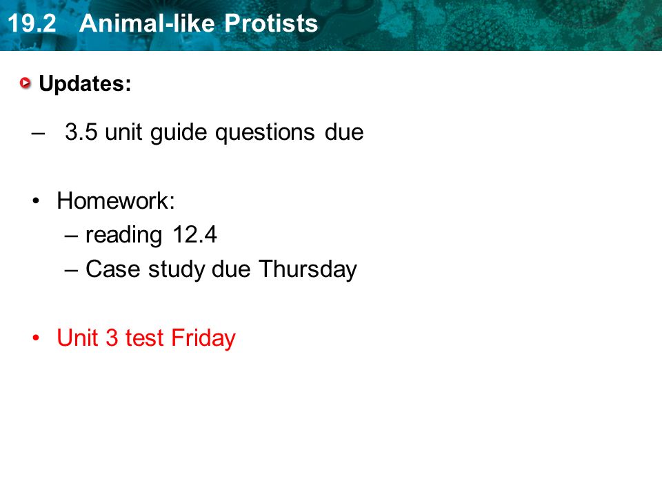 19.2 Animal-like Protists Updates: –3.5 unit guide questions due Homework: –reading 12.4 –Case study due Thursday Unit 3 test Friday