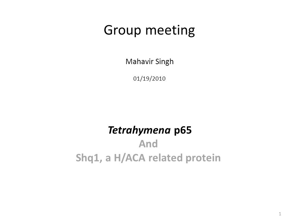 Group meeting Mahavir Singh 01/19/2010 Tetrahymena p65 And Shq1, a H/ACA related protein 1