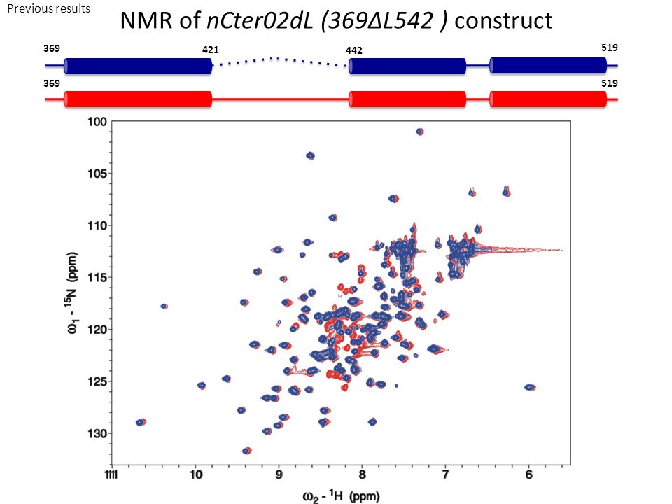 NMR of nCter02dL (369ΔL542 ) construct Previous results