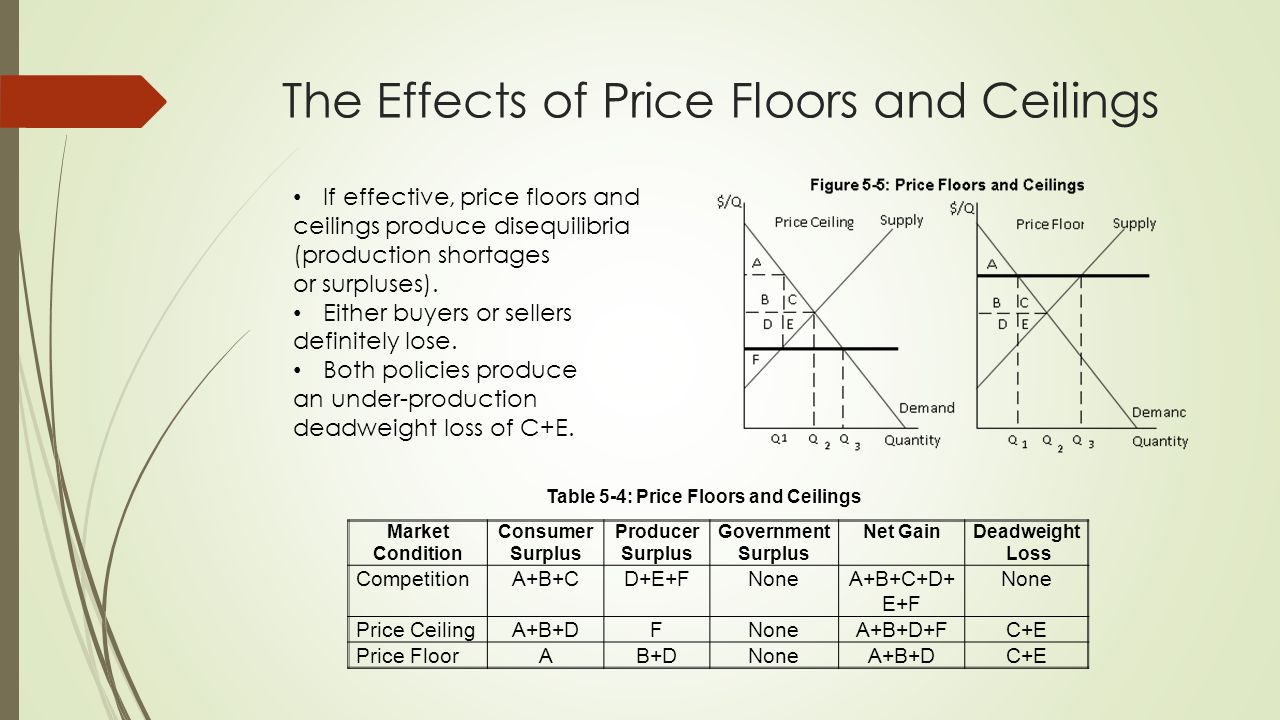 Chapter 5 Efficiency And The Role Of Government According