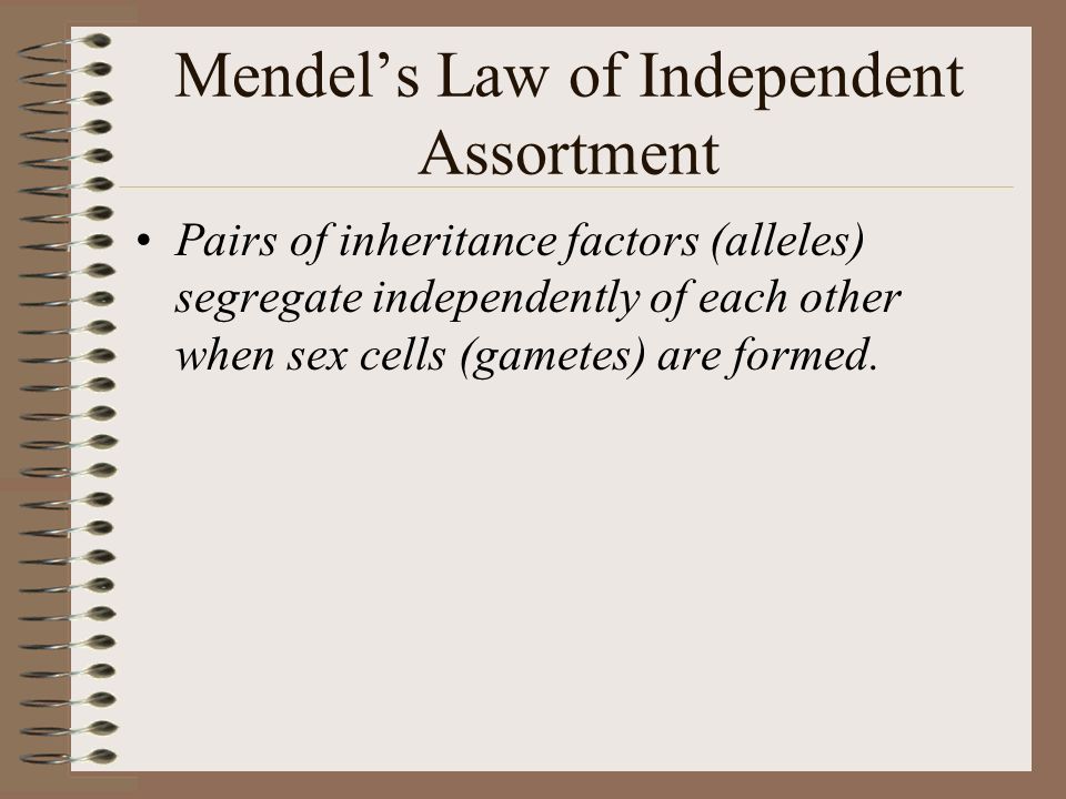 Mendel’s Law of Independent Assortment Pairs of inheritance factors (alleles) segregate independently of each other when sex cells (gametes) are formed.