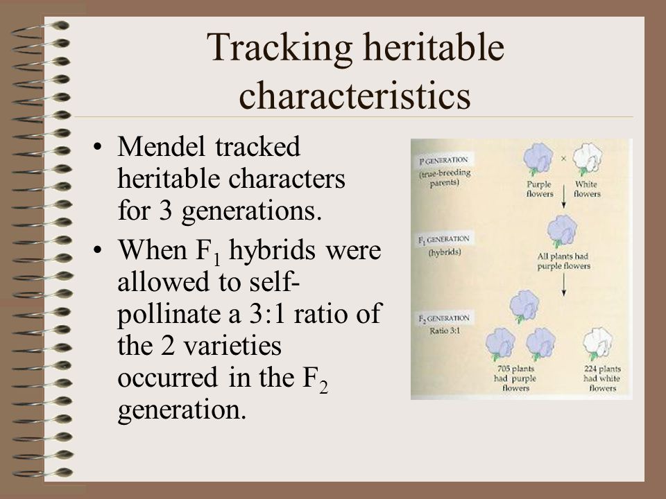 Tracking heritable characteristics Mendel tracked heritable characters for 3 generations.