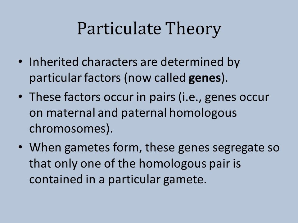Particulate Theory Inherited characters are determined by particular factors (now called genes).