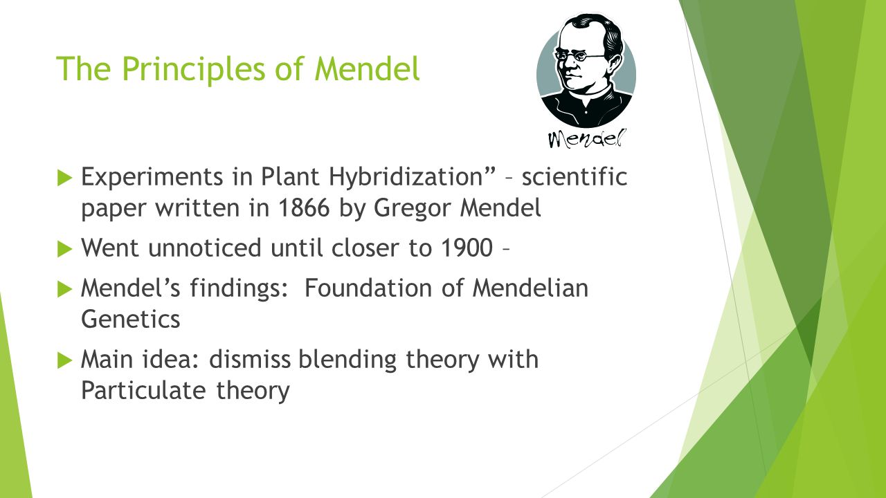 Genetics Lab 11. The Family The Principles of Mendel  Experiments in Plant  Hybridization” – scientific paper written in 1866 by Gregor Mendel  Went.  - ppt download