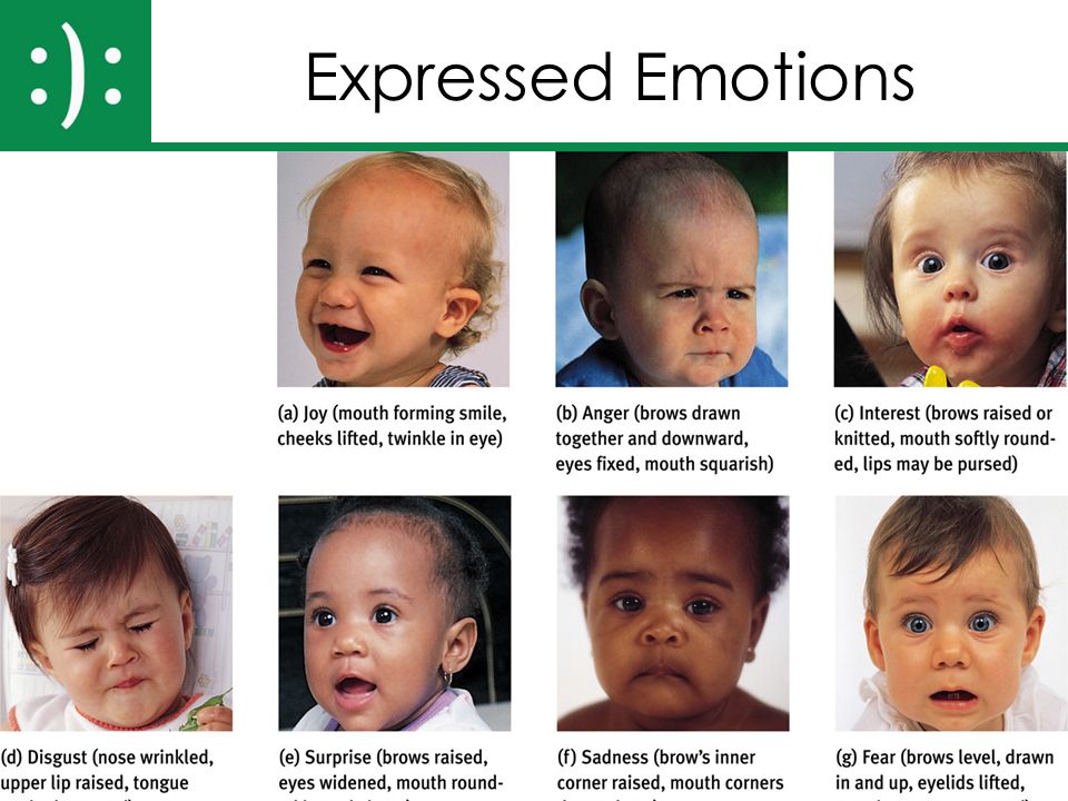 Chs Ap Psychology Unit 8 Motivation Emotion And Stress Essential Task 8 8 Describe How Emotions Are Expressed And How Cultural Influences Shape Emotional Ppt Download Chs Ap Psychology Unit 8 Motivation Emotion And Stress Essential Task 8 8 Describe How Emotions Are Expressed And How Cultural Influences Shape Emotional Ppt Download