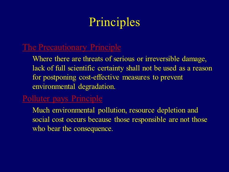 Principles The Precautionary Principle Where there are threats of serious or irreversible damage, lack of full scientific certainty shall not be used as a reason for postponing cost-effective measures to prevent environmental degradation.