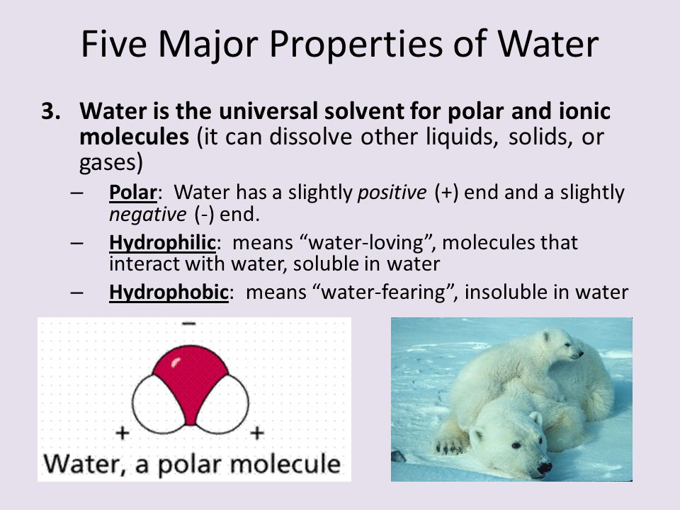 water water everywhere essential questions what are the property of water