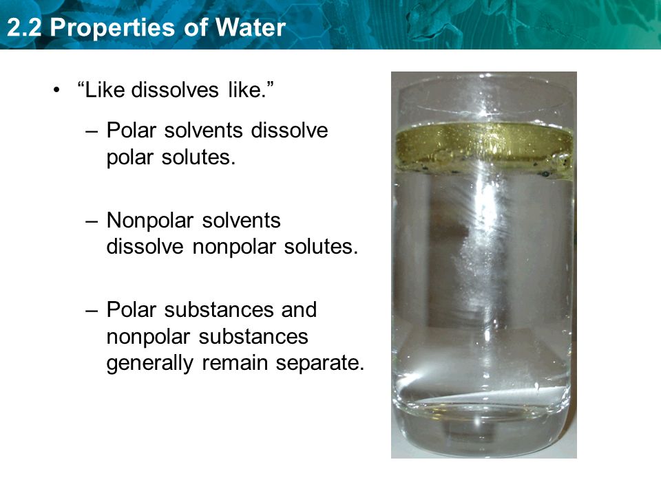2.2 Properties of Water Like dissolves like. –Polar solvents dissolve polar solutes.