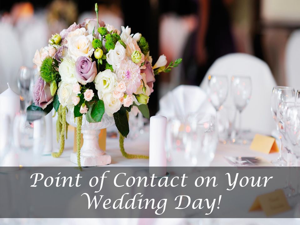 Point of Contact on Your Wedding Day!