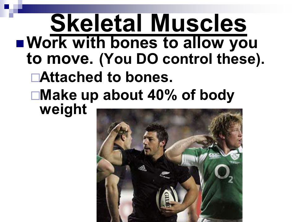 Skeletal Muscles Work with bones to allow you to move.