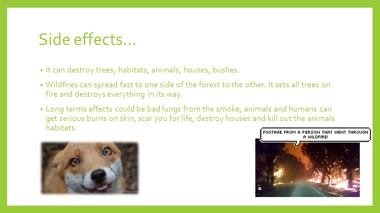 Side effects… It can destroy trees, habitats, animals, houses, bushes.