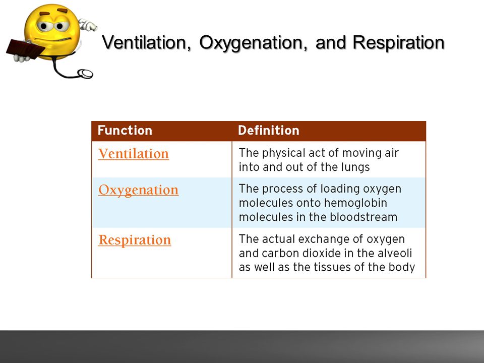 Airway and Respiratory Emergencies. Anatomy of the Respiratory System. -  ppt download