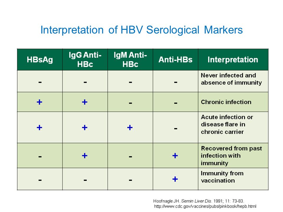 Hbv Serology Chart