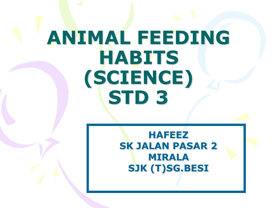 ANIMAL FEEDING HABITS (SCIENCE) STD 3 HAFEEZ SK JALAN PASAR 2 MIRALA SJK  (T). - ppt download