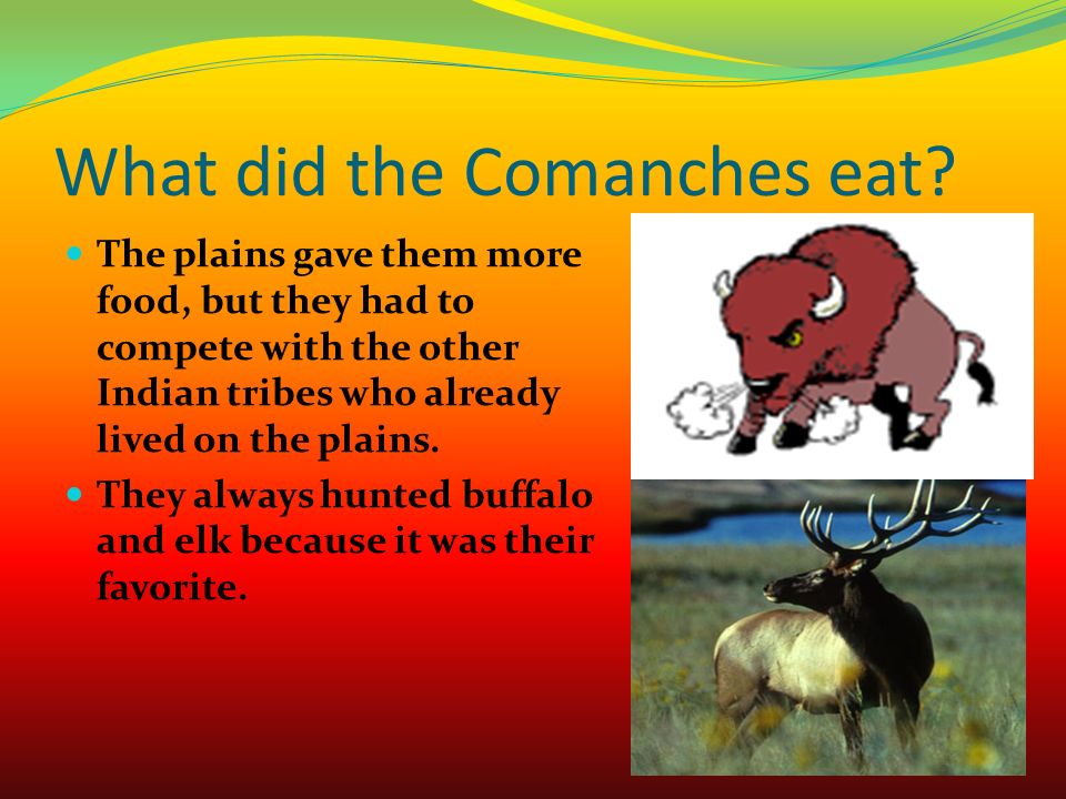 comanche native american food