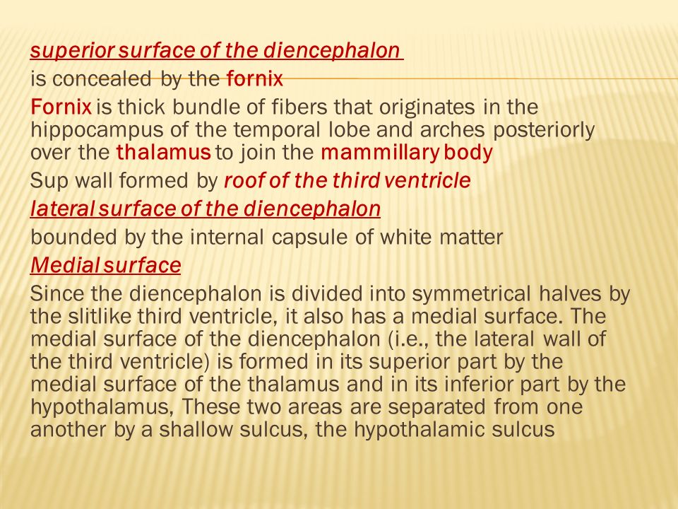 superior surface of the diencephalon is concealed by the fornix Fornix is thick bundle of fibers that originates in the hippocampus of the temporal lobe and arches posteriorly over the thalamus to join the mammillary body Sup wall formed by roof of the third ventricle lateral surface of the diencephalon bounded by the internal capsule of white matter Medial surface Since the diencephalon is divided into symmetrical halves by the slitlike third ventricle, it also has a medial surface.