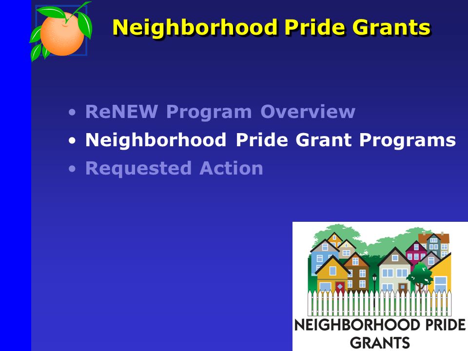 Neighborhood Pride Grants ReNEW Program Overview Neighborhood Pride Grant Programs Requested Action