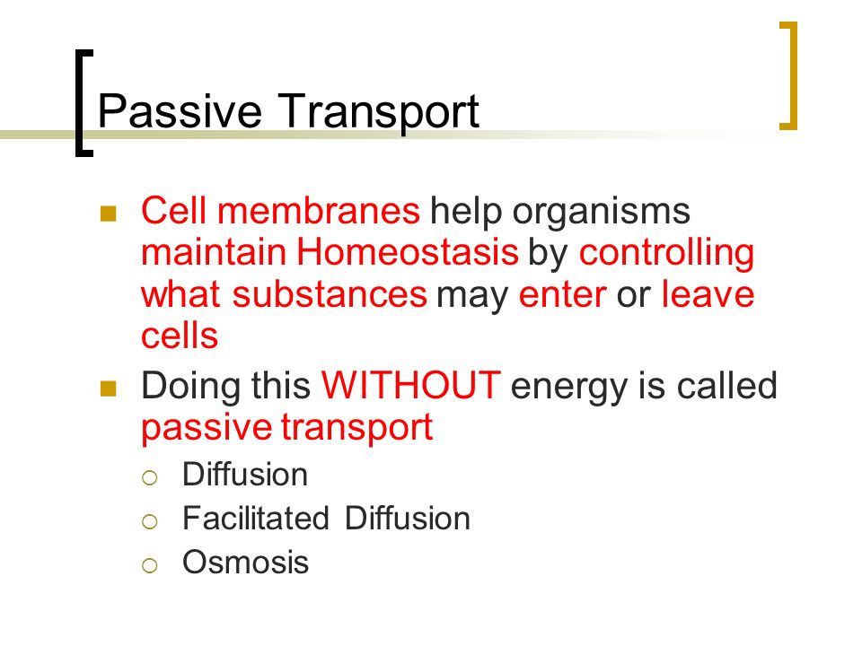 Passive and Active Transport Importance Every living cell exists in a  liquid environment. One of the most important functions of the cell  membrane is. - ppt download