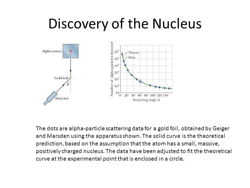 Discovery of the Nucleus The dots are alpha-particle scattering data for a gold foil, obtained by Geiger and Marsden using the apparatus shown.