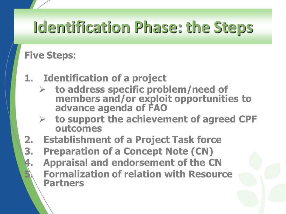 Overview of the Project Cycle Phases What's new. “Act” Delivering through  projects (Part 1) - ppt download