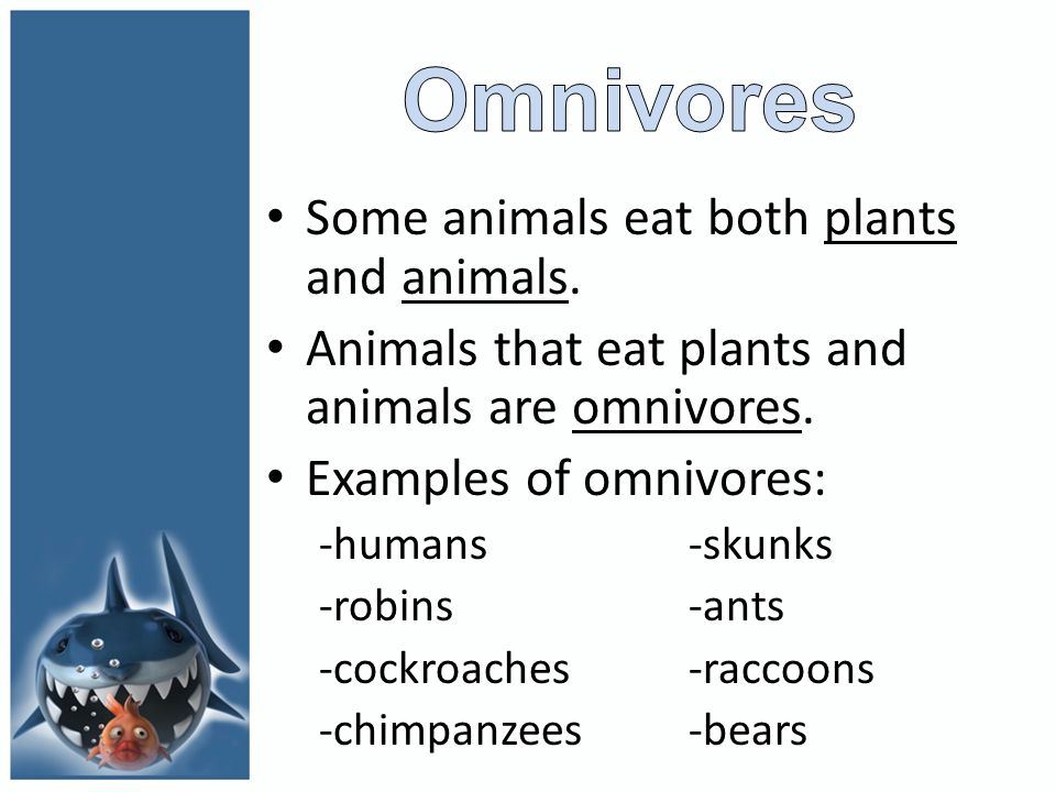 4 th Grade Science What did you have for lunch today (or yesterday)? Sort  food into 2 categories: Plant and Animal Why do we need to eat? Where do. -  ppt download