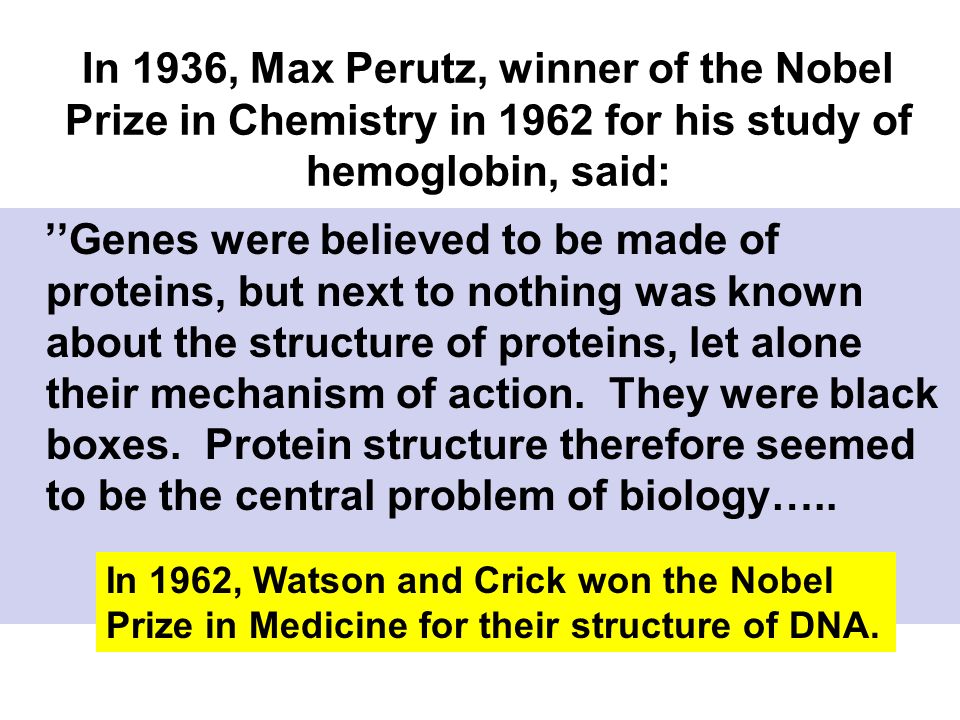 Chapter 16 The Molecular Basis of Inheritance. In 1936, Max Perutz, winner  of the Nobel Prize in Chemistry in 1962 for his study of hemoglobin, said:  - ppt download