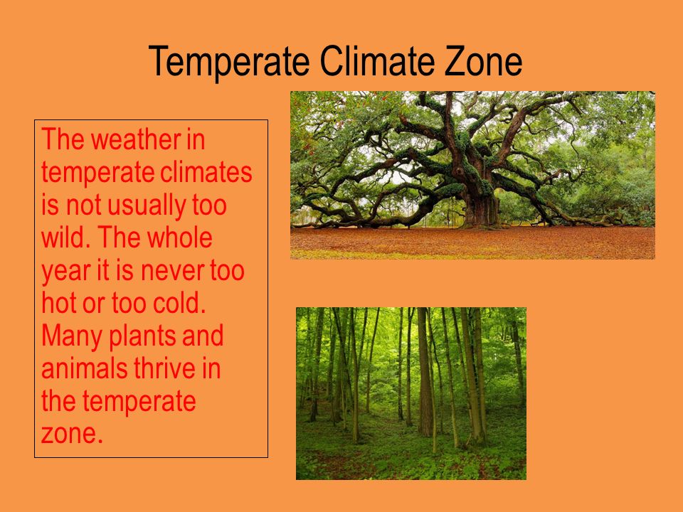 Temperate Climate Zone - Lessons - Blendspace
