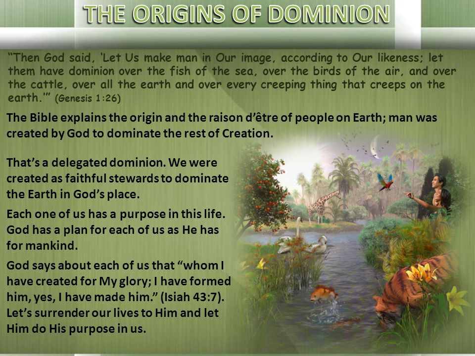 2 9, DOMINION OVER THE EARTH THE ORIGINSTHE PRIVILEGEBOUNDARIES ACCOUNTABILITY RESTORATION. - ppt download