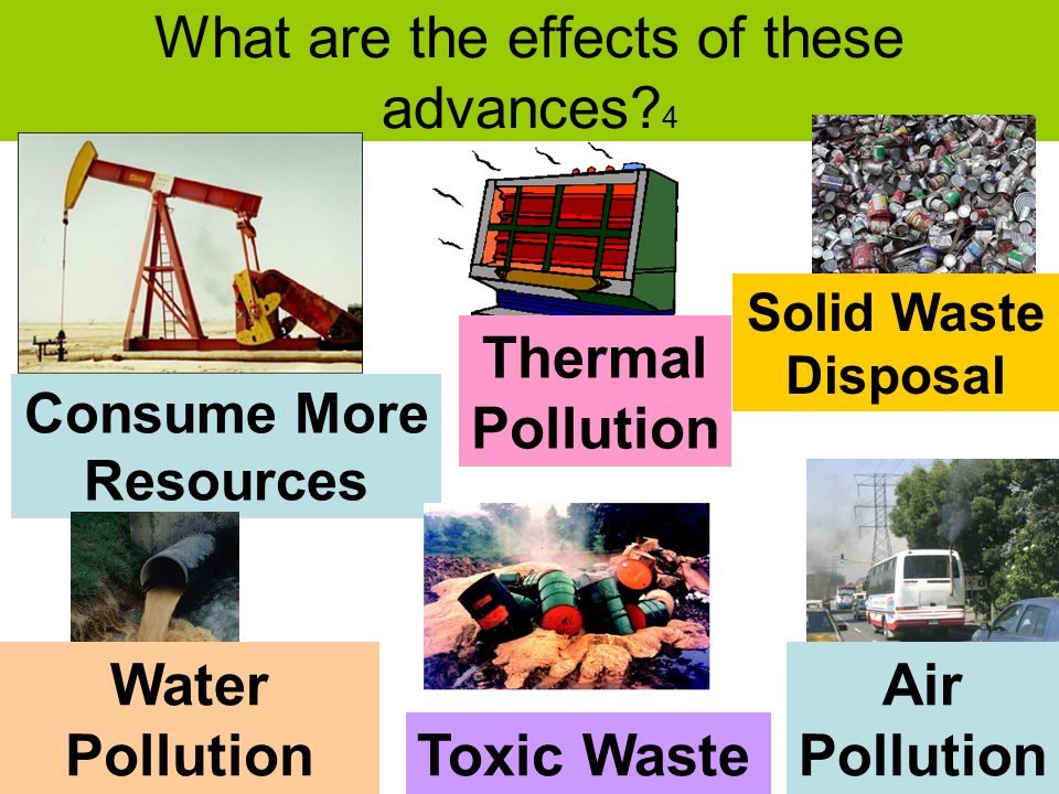 how does thermal pollution affect the environment