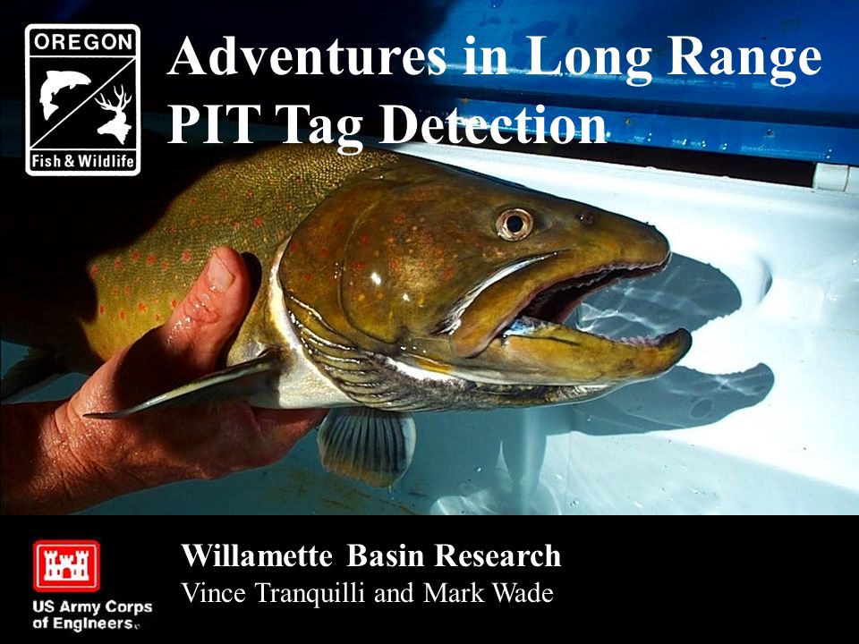 Introduction Adventures in Long Range PIT Tag Detection Willamette Basin Research Vince Tranquilli and Mark Wade