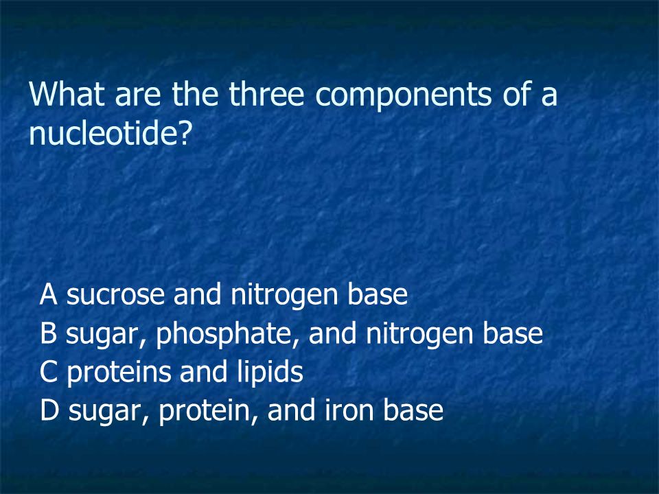What are the three components of a nucleotide.