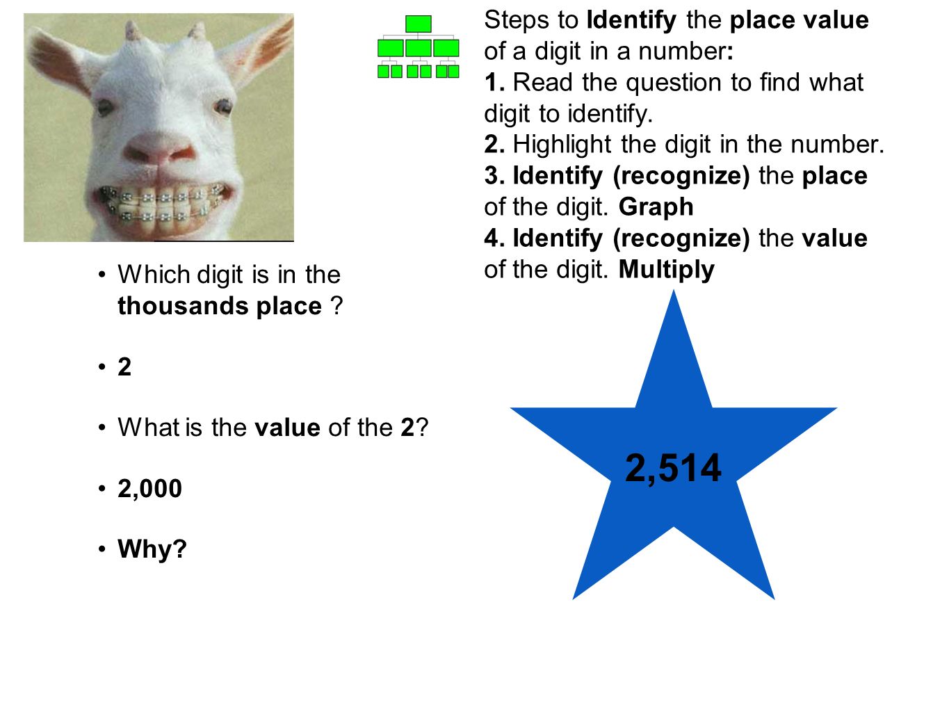 What is a digit What is a digit