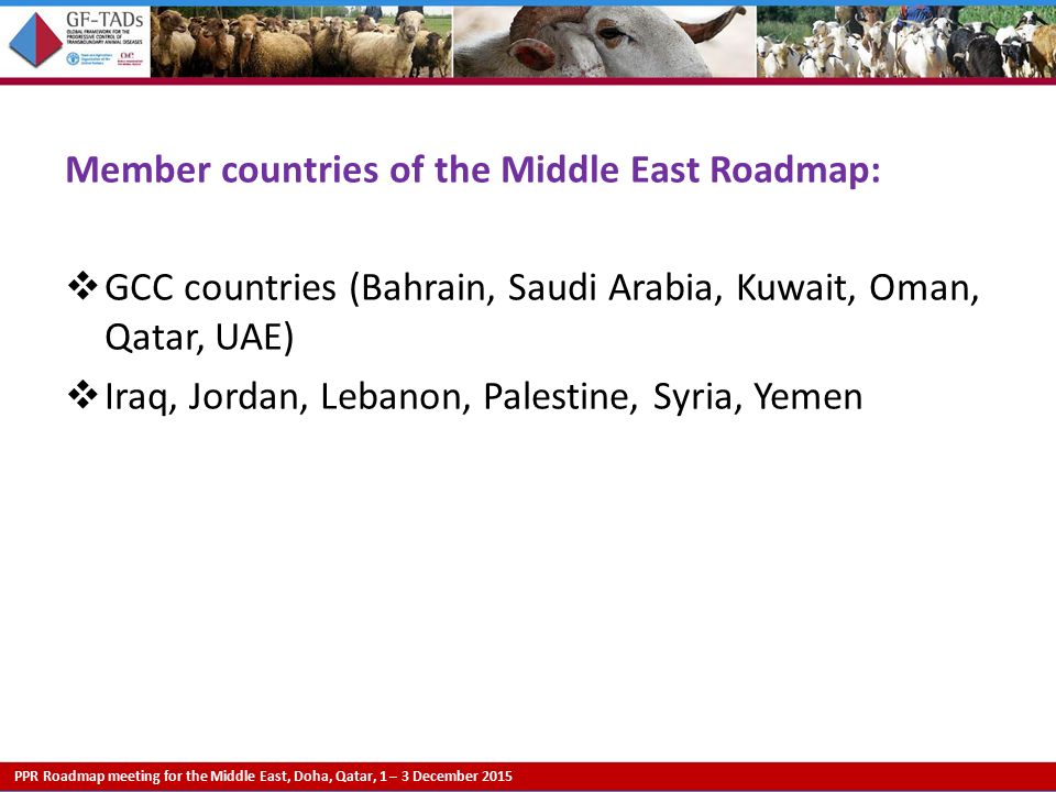 PPR Roadmap meeting for the Middle East, Doha, Qatar, 1 – 3 December 2015 Member countries of the Middle East Roadmap:  GCC countries (Bahrain, Saudi Arabia, Kuwait, Oman, Qatar, UAE)  Iraq, Jordan, Lebanon, Palestine, Syria, Yemen