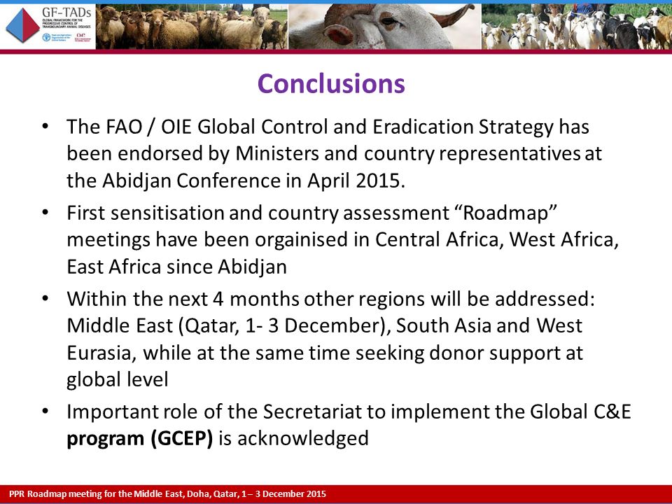 PPR Roadmap meeting for the Middle East, Doha, Qatar, 1 – 3 December 2015 Conclusions The FAO / OIE Global Control and Eradication Strategy has been endorsed by Ministers and country representatives at the Abidjan Conference in April 2015.
