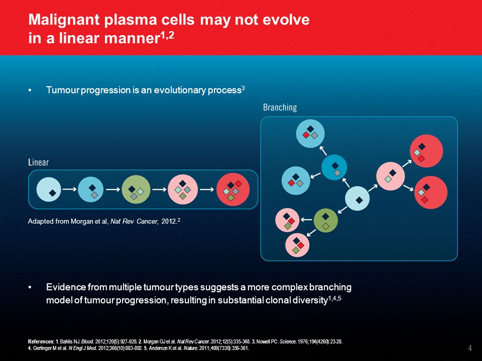 Malignant plasma cells may not evolve in a linear manner 1,2 Tumour progression is an evolutionary process 3 Evidence from multiple tumour types suggests a more complex branching model of tumour progression, resulting in substantial clonal diversity 1,4,5 Adapted from Morgan et al, Nat Rev Cancer, 2012.