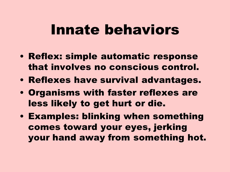 Behavior Plants and Animals. What is behavior? Anything an animal does in  response to a stimulus in the environment. Behavior can be inherited or  innate. - ppt download