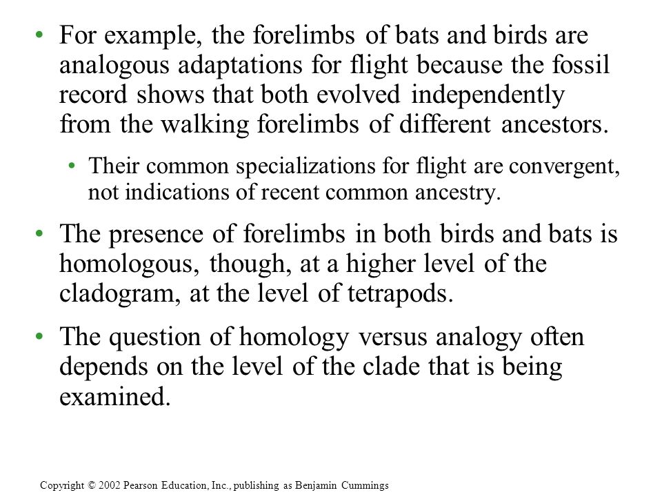 For example, the forelimbs of bats and birds are analogous adaptations for flight because the fossil record shows that both evolved independently from the walking forelimbs of different ancestors.