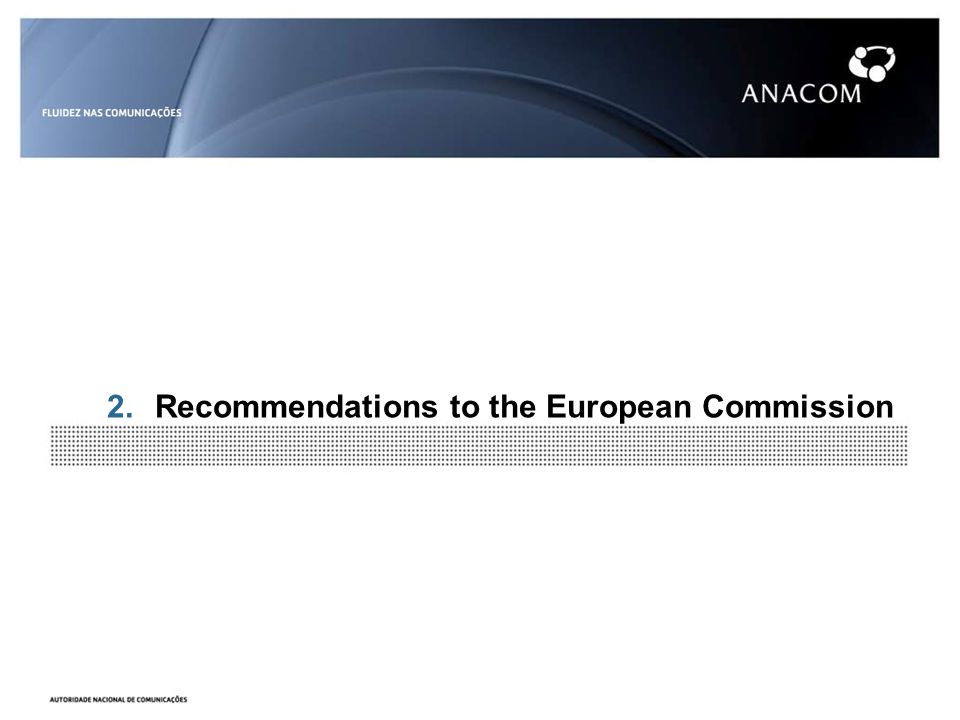 2.Recommendations to the European Commission