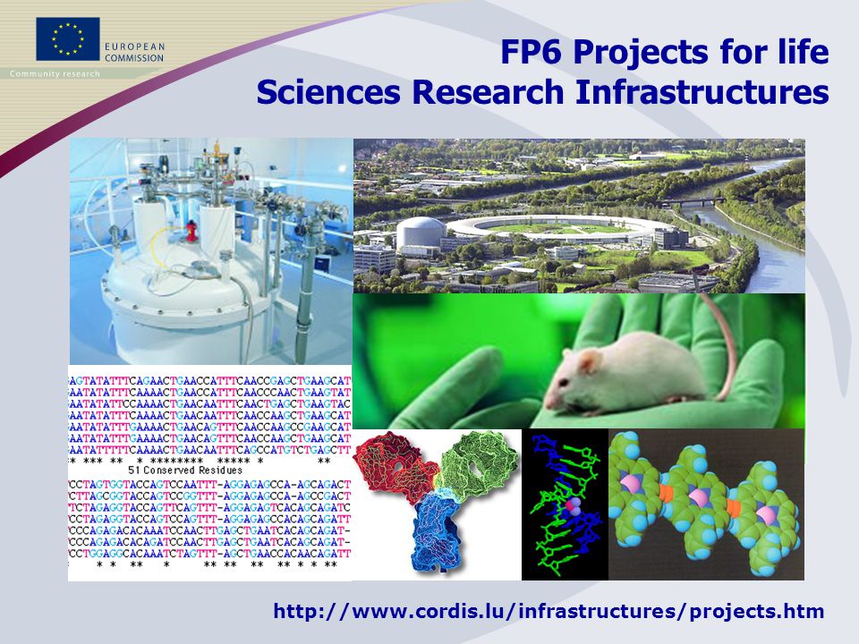 18 projects 144 partners 62 MEuro FP6 Projects for life Sciences Research Infrastructures Several hundreds of thousands of users