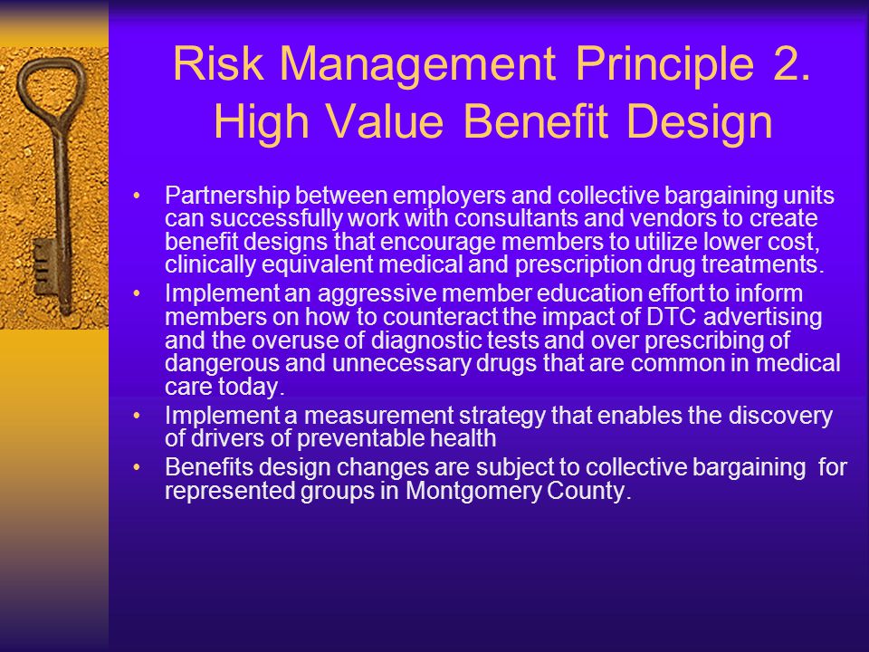 Risk Management Principle 2.