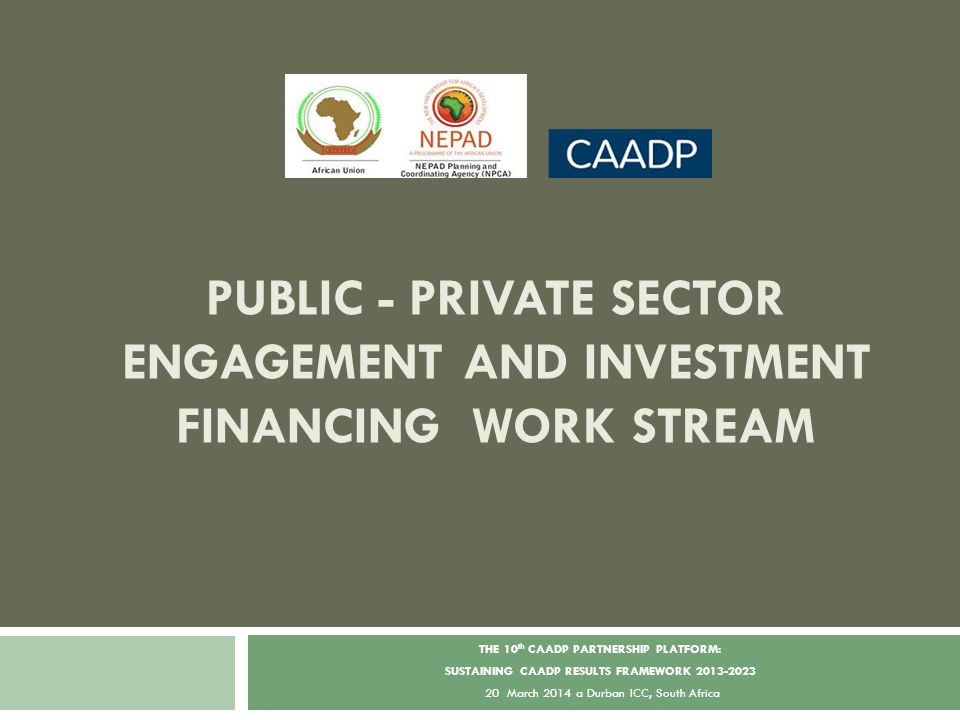 PUBLIC - PRIVATE SECTOR ENGAGEMENT AND INVESTMENT FINANCING WORK STREAM THE 10 th CAADP PARTNERSHIP PLATFORM: SUSTAINING CAADP RESULTS FRAMEWORK March 2014 a Durban ICC, South Africa