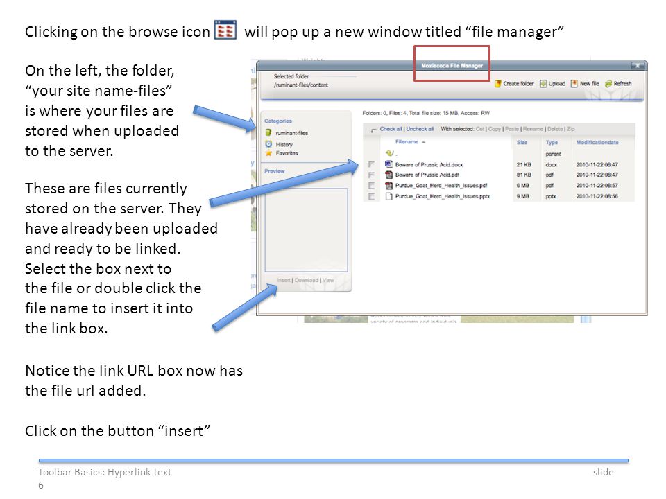 Clicking on the browse icon will pop up a new window titled file manager On the left, the folder, your site name-files is where your files are stored when uploaded to the server.