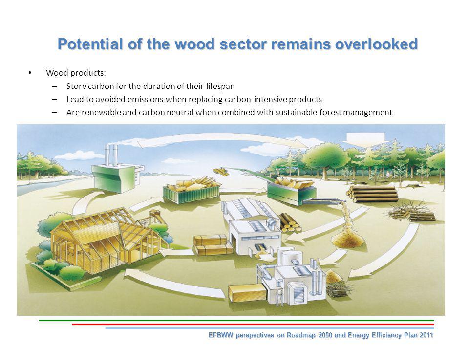 Potential of the wood sector remains overlooked EFBWW perspectives on Roadmap 2050 and Energy Efficiency Plan 2011 Wood products: – Store carbon for the duration of their lifespan – Lead to avoided emissions when replacing carbon-intensive products – Are renewable and carbon neutral when combined with sustainable forest management
