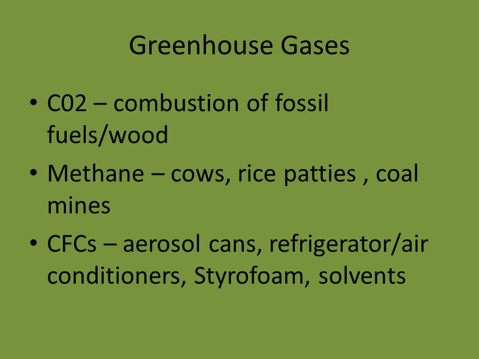Greenhouse Gases C02 – combustion of fossil fuels/wood Methane – cows, rice patties, coal mines CFCs – aerosol cans, refrigerator/air conditioners, Styrofoam, solvents
