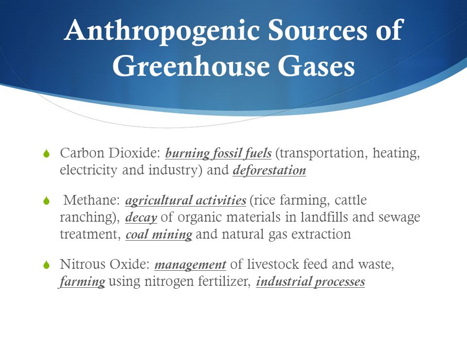 Anthropogenic Sources of Greenhouse Gases Carbon Dioxide: burning fossil fuels (transportation, heating, electricity and industry) and deforestation Methane: agricultural activities (rice farming, cattle ranching), decay of organic materials in landfills and sewage treatment, coal mining and natural gas extraction Nitrous Oxide: management of livestock feed and waste, farming using nitrogen fertilizer, industrial processes