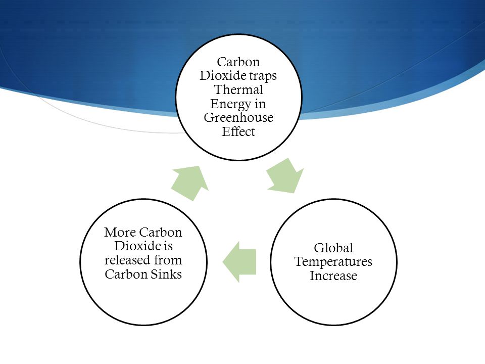 Carbon Dioxide traps Thermal Energy in Greenhouse Effect Global Temperatures Increase More Carbon Dioxide is released from Carbon Sinks