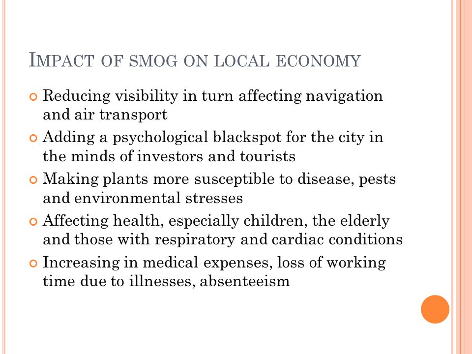essay on smog